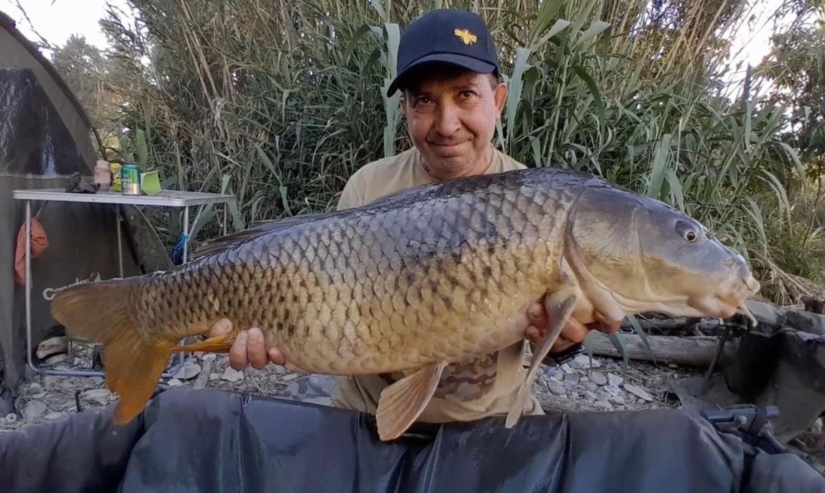 R U Ready Fishing, River Ebro Mequinenza Exterior photo